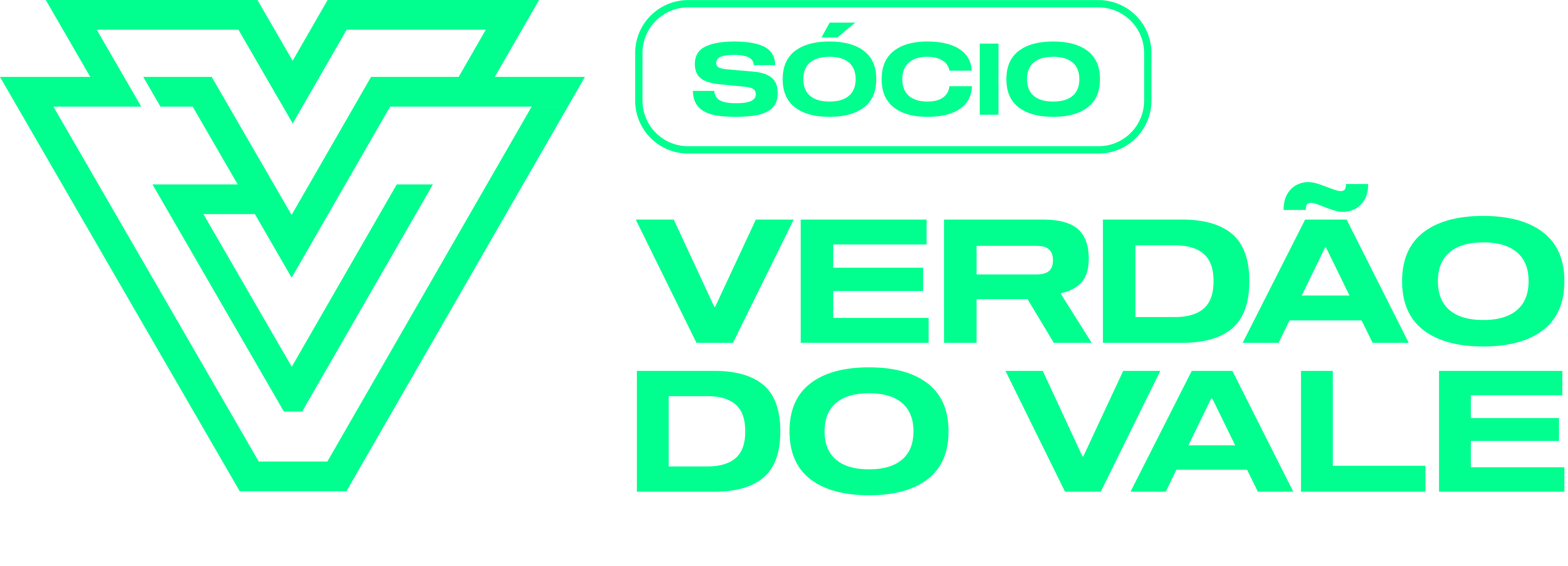 Logo Verdão do Vale